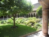 cloister-tree