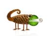chameleon