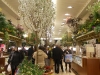 white-tree