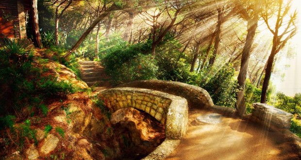 Mystical Park. Old Trees and Ancient Stone Bridge. Pathway. Misty Forest. Fantasy Landscape