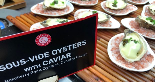 oysters