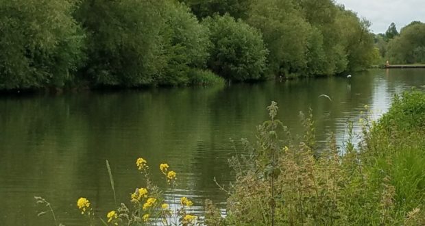 The Thames River