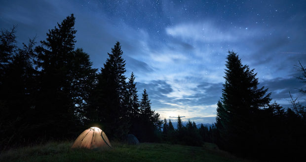 Magnificent View Of Night Blue Sky Over Meadow With Illuminated